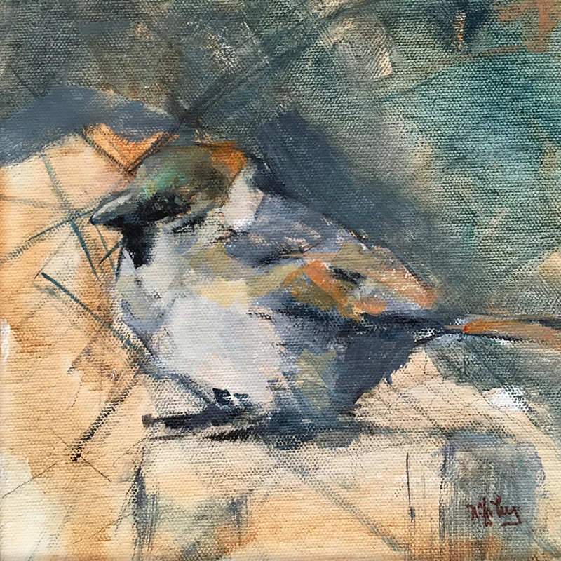 Little Sparrow <br/> 8 x 8